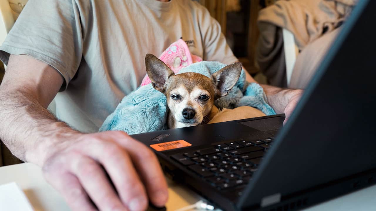 Online Education Webinar