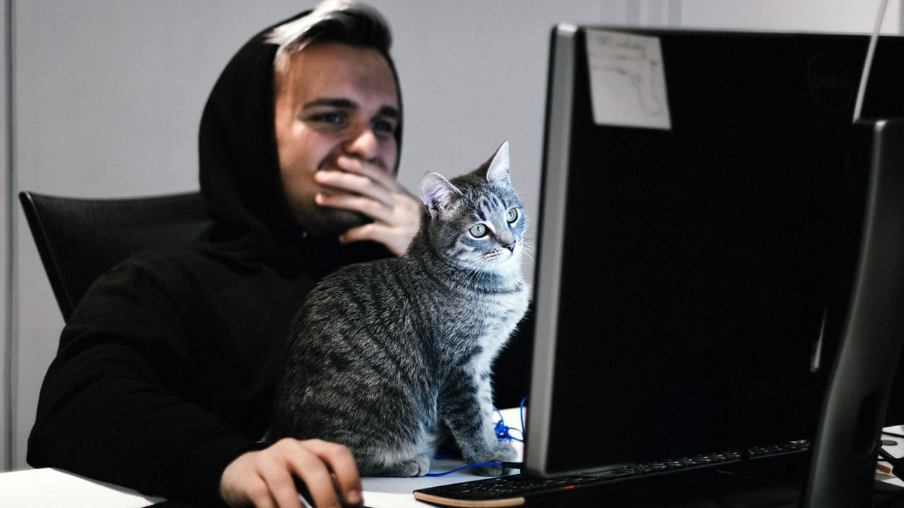 Online Open House